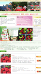 Mobile Screenshot of dongkuiyangmei.com