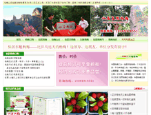 Tablet Screenshot of dongkuiyangmei.com